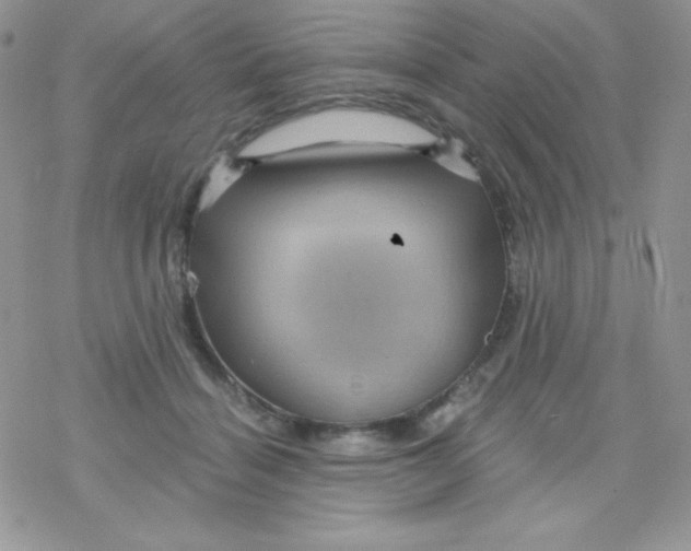 X0000078300460200611251513