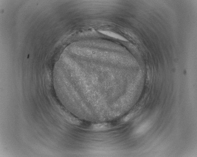 X0000078300461200611251513