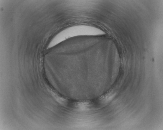 X0000078300462200611251513