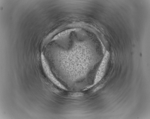 X0000078300463200611251513