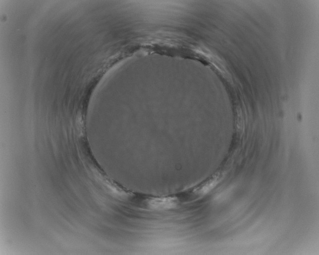 X0000078300465200611251513