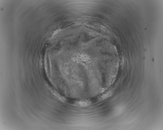 X0000078300466200611251513