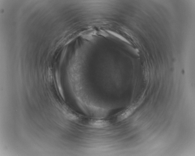 X0000078300467200611251513