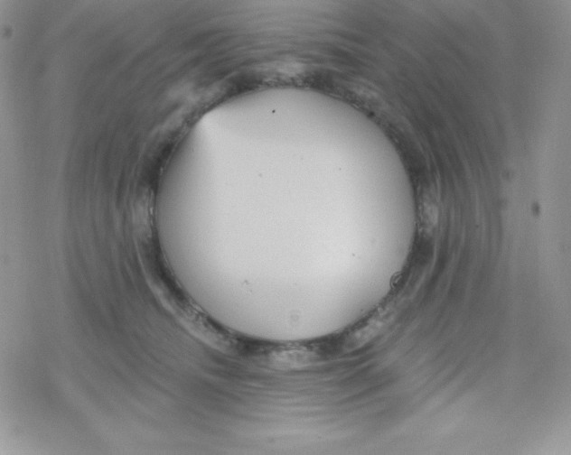 X0000078300468200611251513