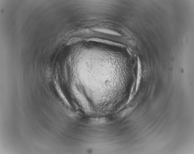 X0000078300469200611251513