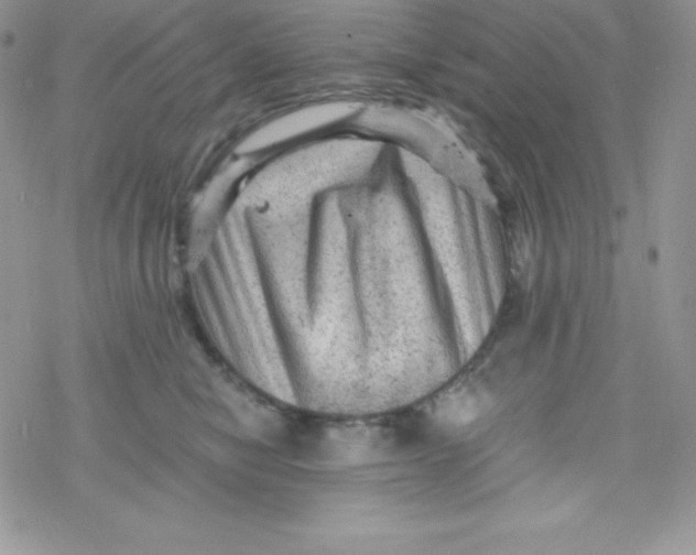 X0000078300470200611251513