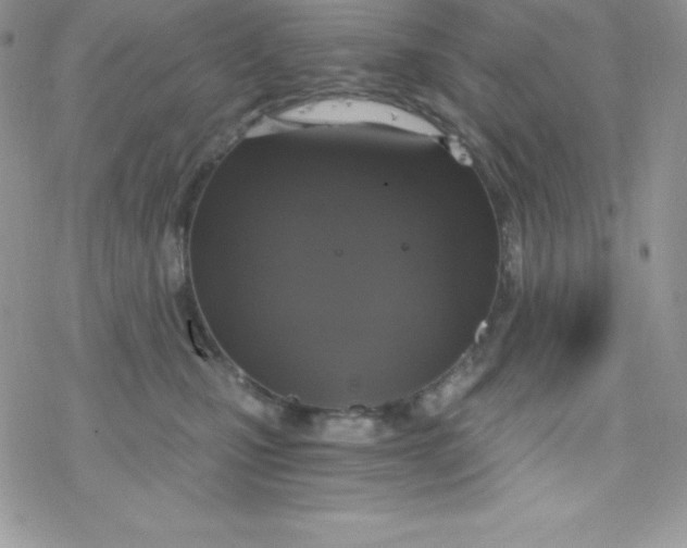 X0000078300471200611251513