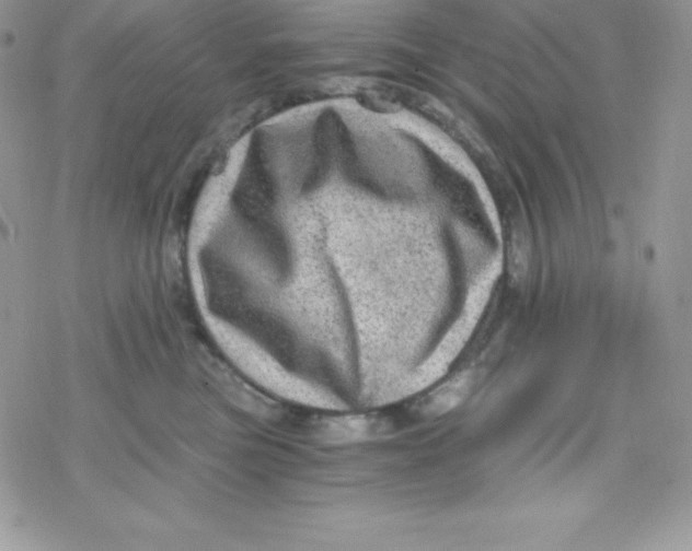 X0000078300473200611251513