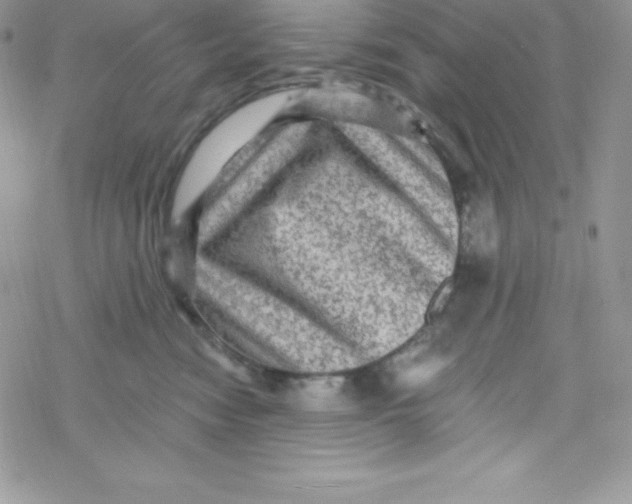 X0000078300474200611251513