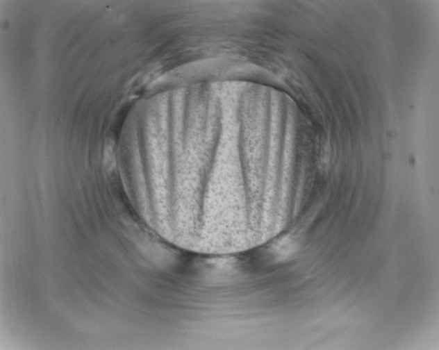 X0000078300478200611251513