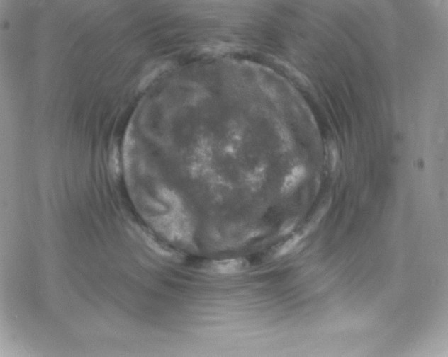 X0000078300479200611251513