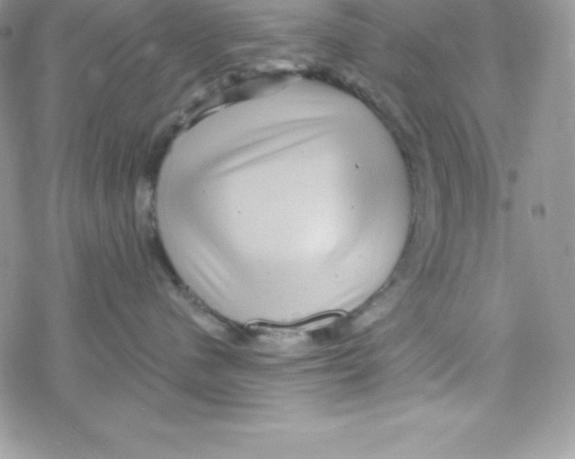 X0000078300480200611251513