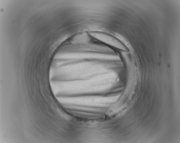 X0000078300481200611251512