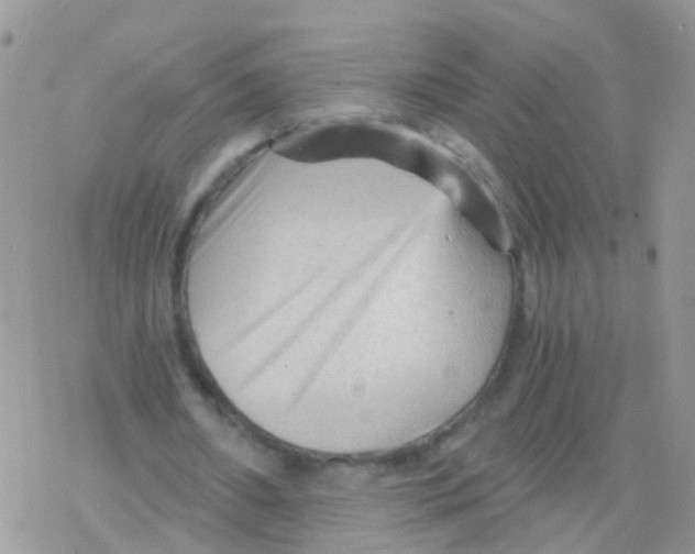 X0000078300482200611251512