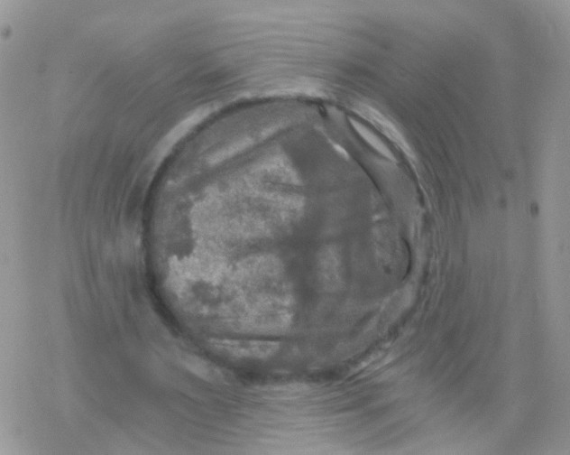 X0000078300483200611251512