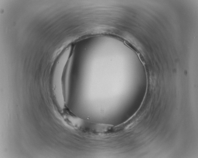 X0000078300485200611251512