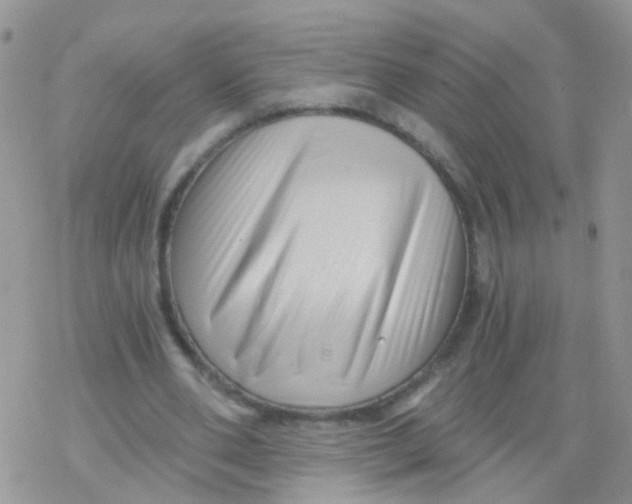 X0000078300486200611251512