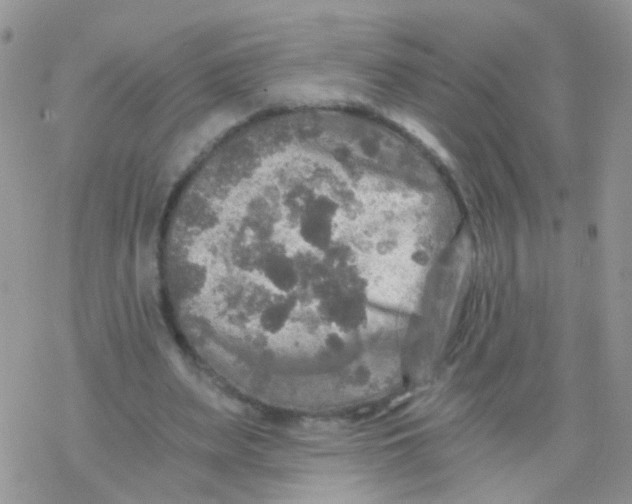 X0000078300487200611251512