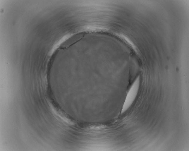 X0000078300488200611251512