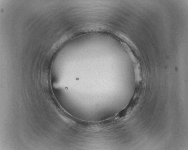 X0000078300489200611251512