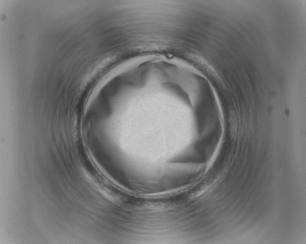 X0000078300490200611251512