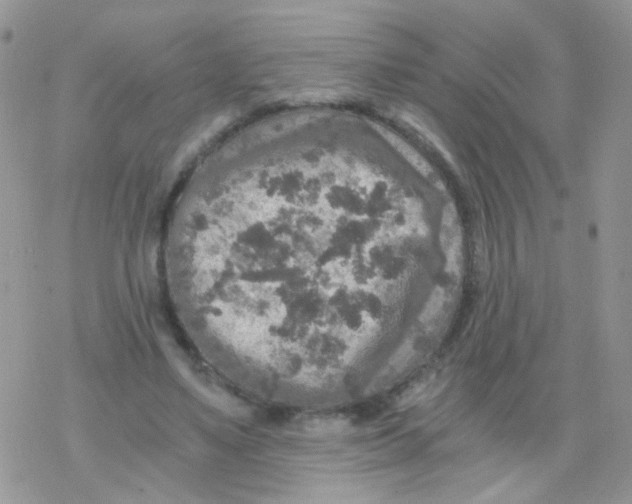 X0000078300491200611251512