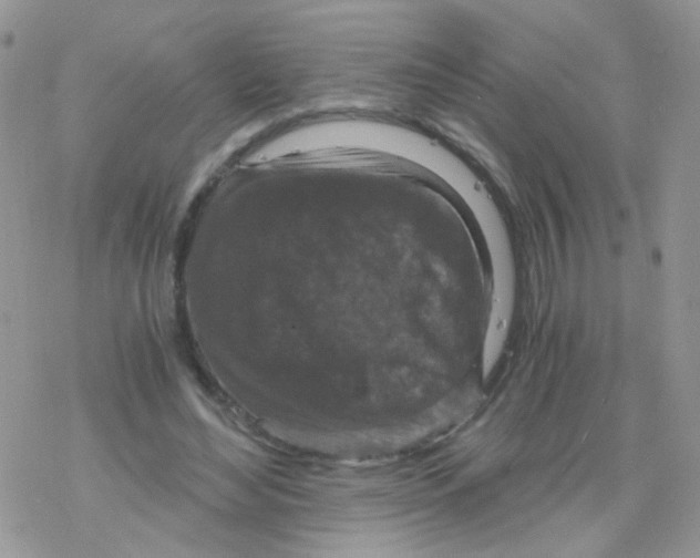 X0000078300492200611251512