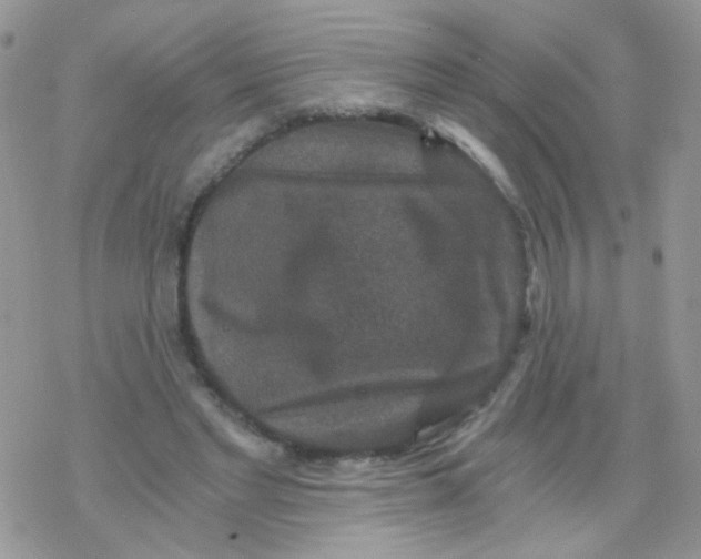 X0000078300493200611251512