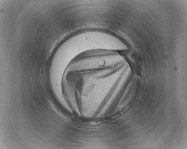 X0000078300496200611251512