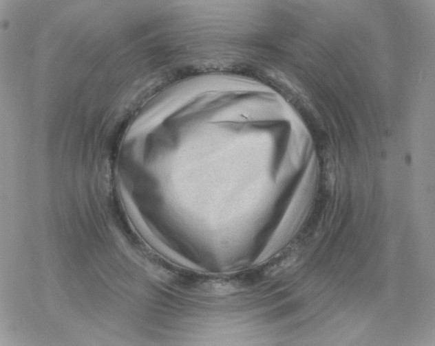 X0000078300498200611251512