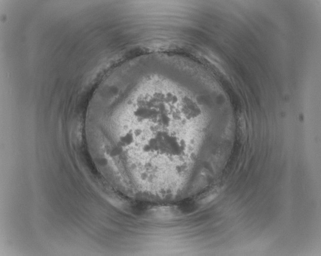 X0000078300499200611251512