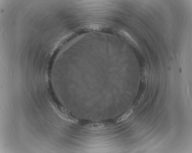 X0000078300500200611251512