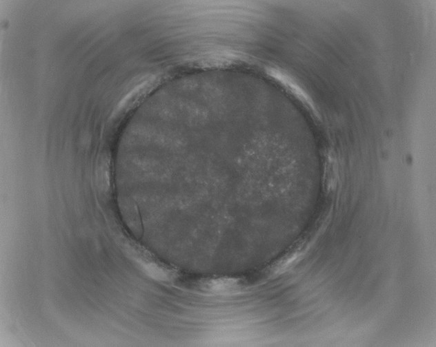 X0000078300501200611251512