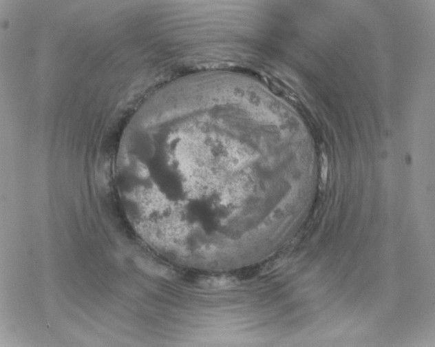 X0000078300503200611251512