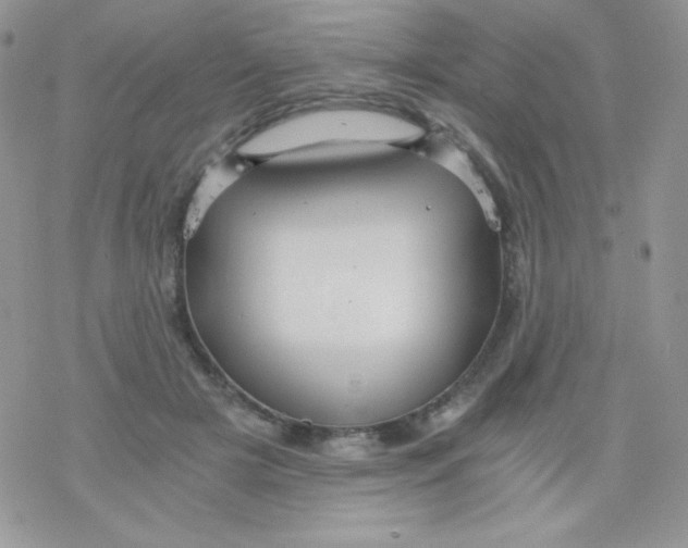 X0000078300505200611251512