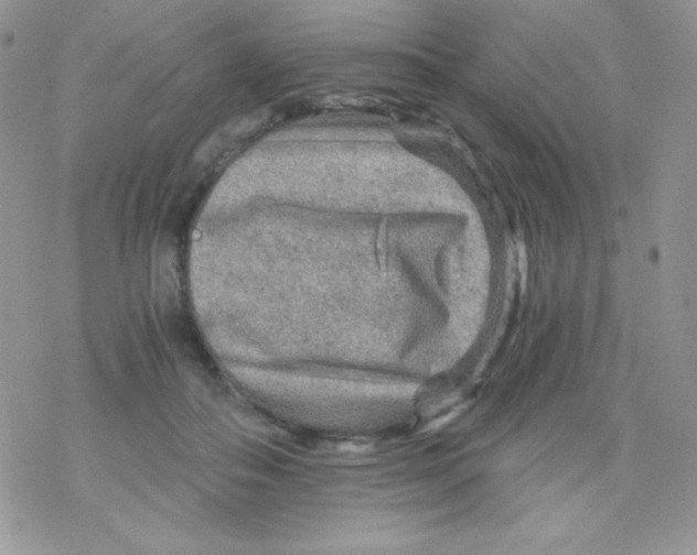 X0000078300506200611251512