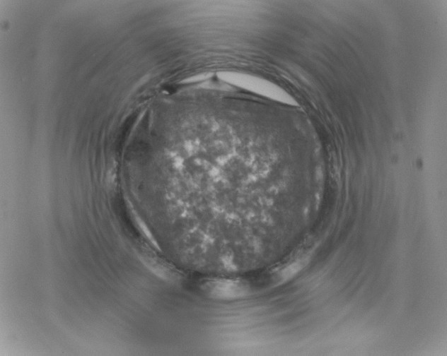 X0000078300507200611251512