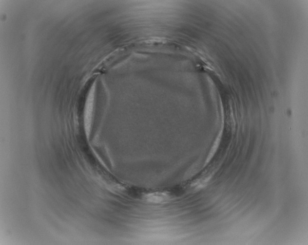 X0000078300508200611251512