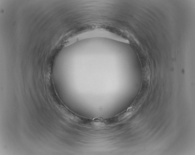 X0000078300509200611251512