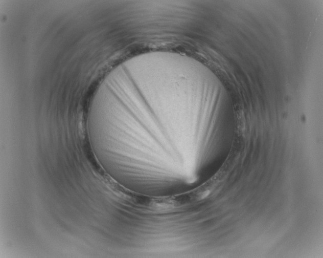 X0000078300510200611251512