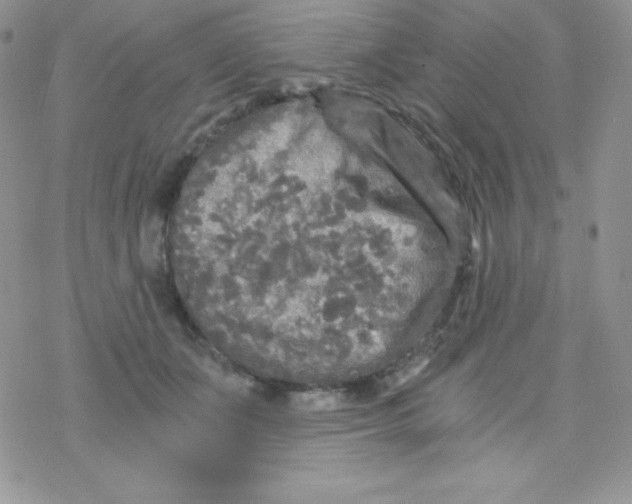 X0000078300511200611251512