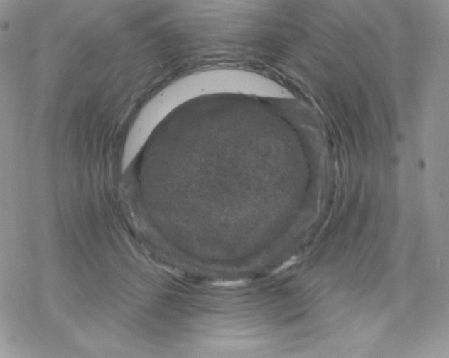 X0000078300512200611251512