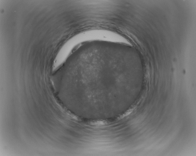 X0000078300513200611251512