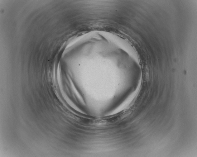 X0000078300514200611251512