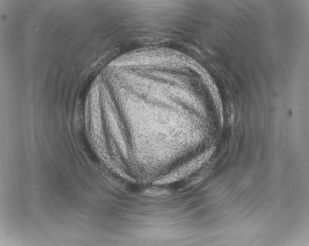 X0000078300515200611251512