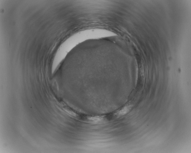 X0000078300516200611251512