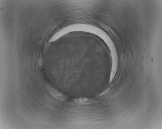 X0000078300517200611251512