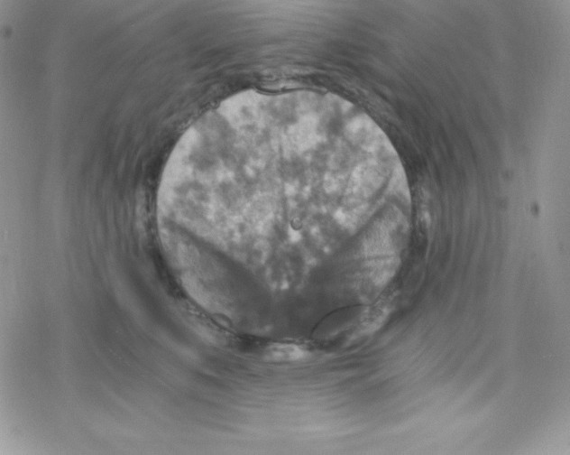 X0000078300519200611251512