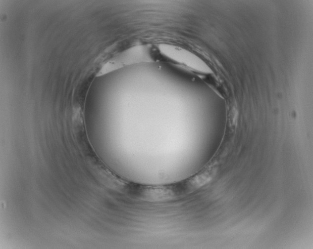 X0000078300521200611251512