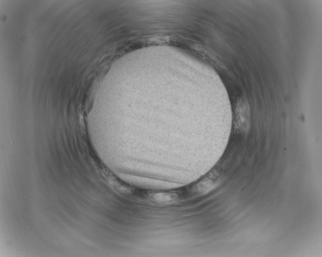 X0000078300522200611251512